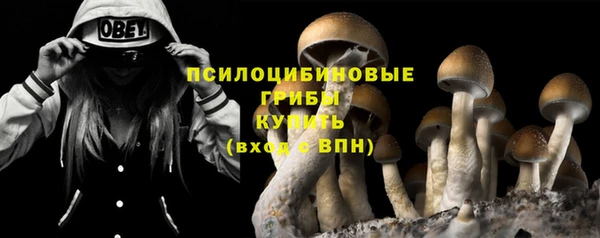 прущая мука Алзамай