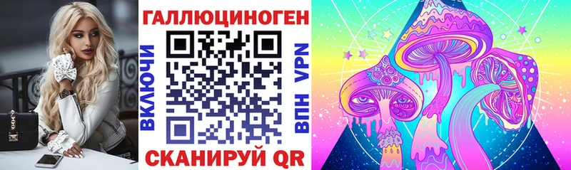 Псилоцибиновые грибы Psilocybine cubensis Калининск